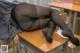 A woman in black stockings is sitting on a desk.