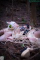 A couple of people laying on top of a rope in the woods.